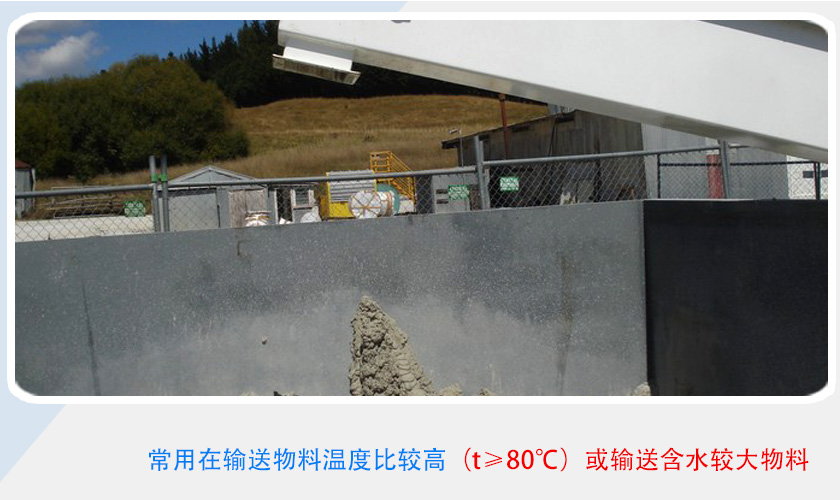 种类区分